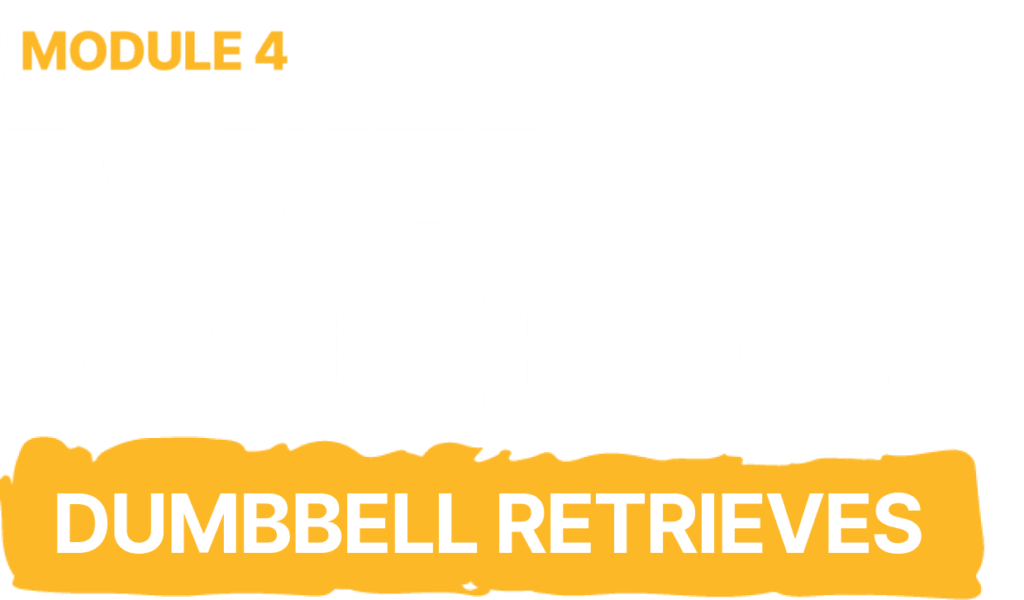 Dumbbell Retrieves - ShiledK9